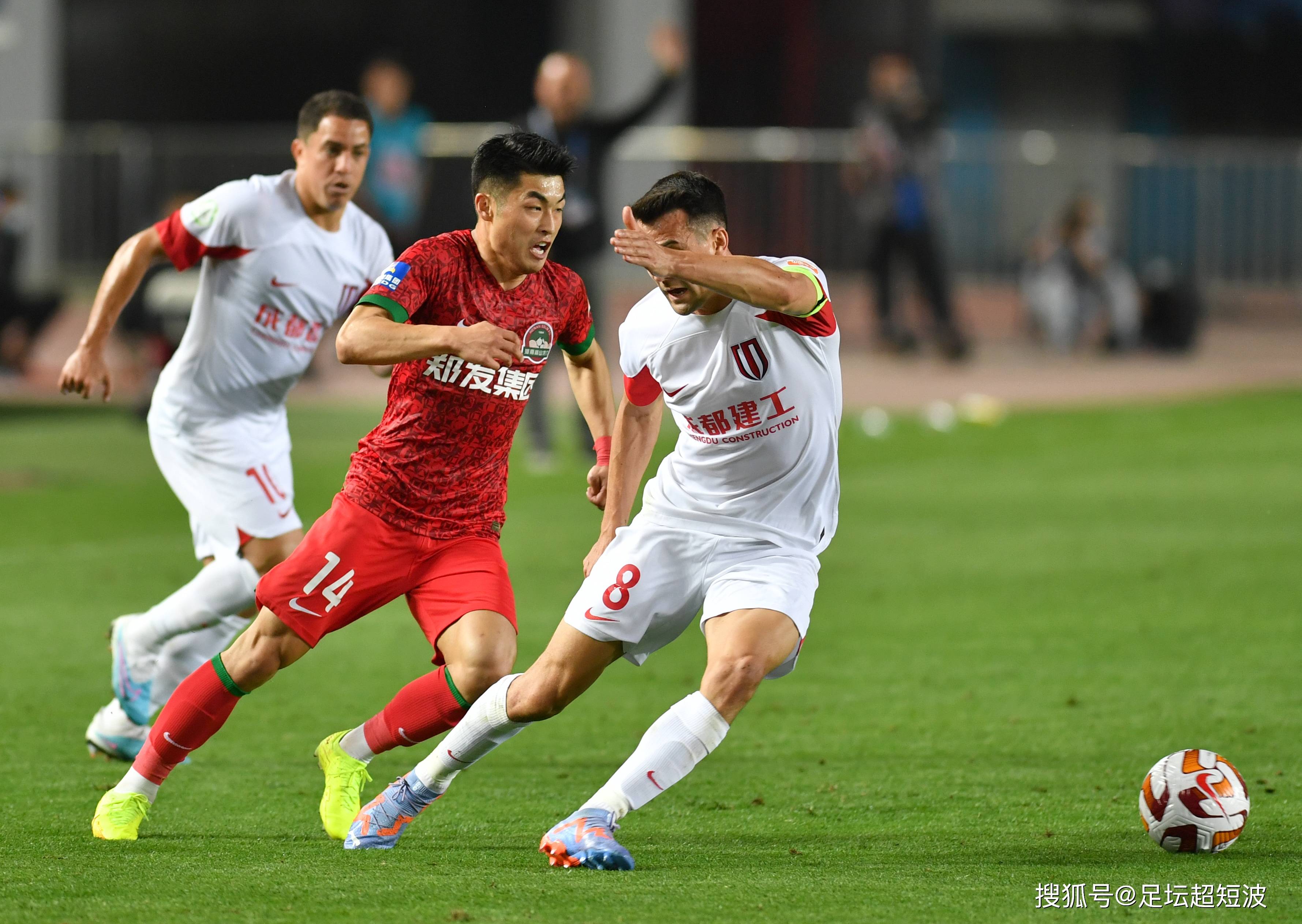 他们的整体 他们的整体