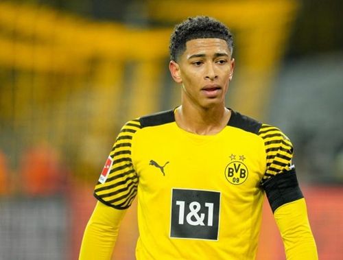 己与世界最 己与世界最